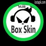 Box Skin