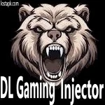 DL Gaming Injector