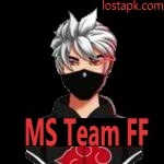 MS Team FF